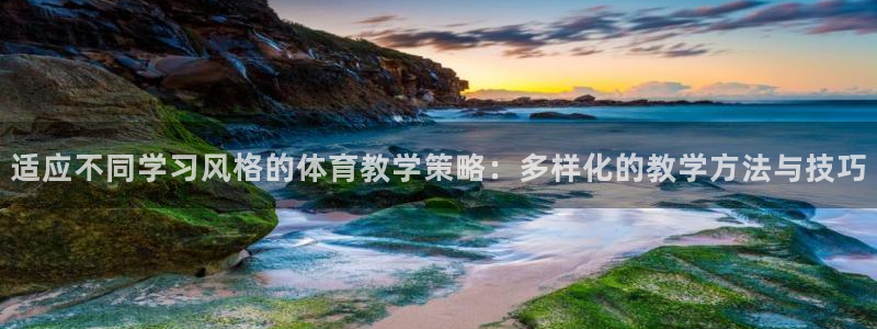 适应不同学习风格的体育教学策略：多样化的教学方法与技巧