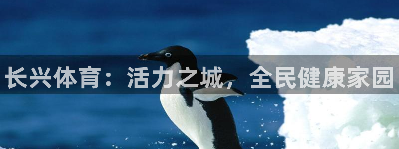长兴体育：活力之城，全民健康家园