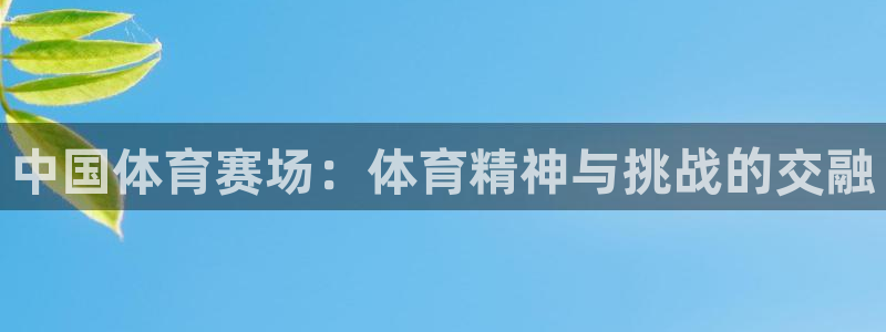 企鹅足球直播免费观看