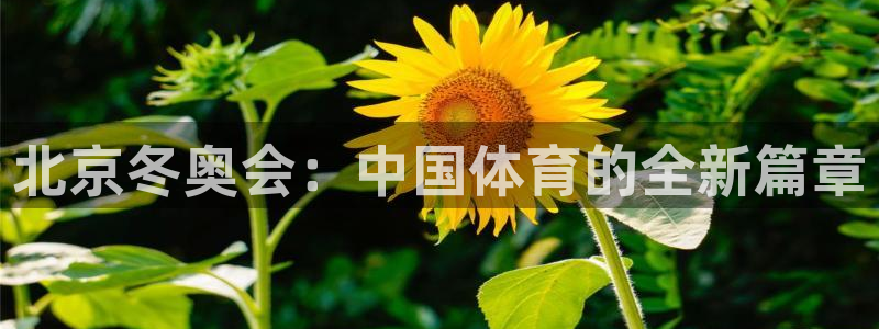 企鹅体育f1直播