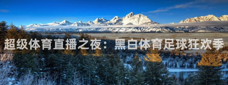 企鹅nba直播免费高清视频